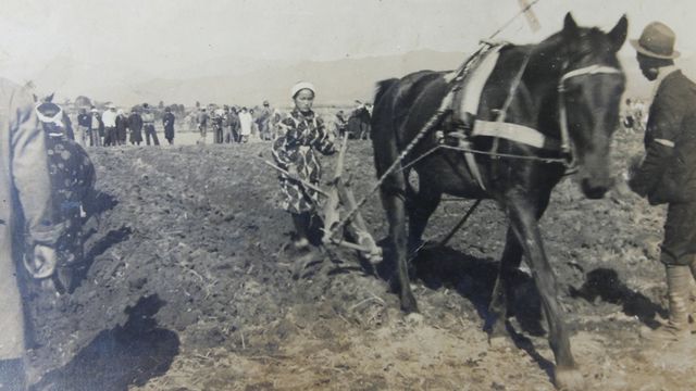 Trabajando en el campo