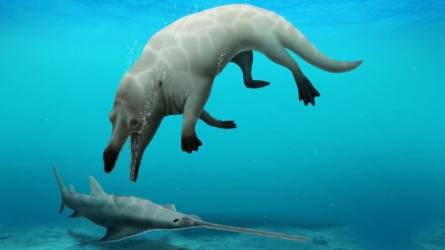 Desenho do que seria o fóssil de baleia ancestral encontrado no Egito