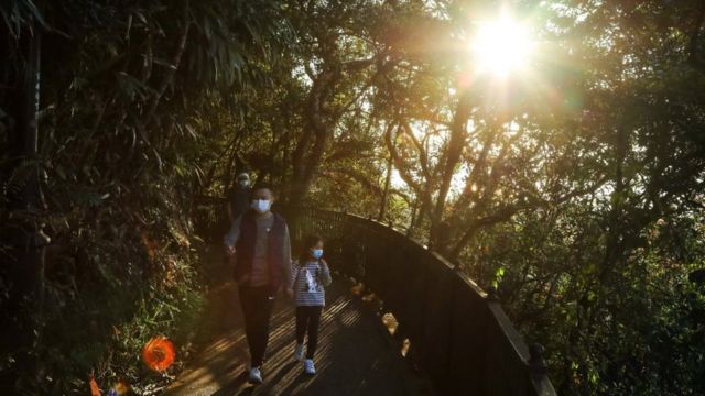 أسرة تسير في غابة في هونغ كونغ، وأشعة الشمس تتسلل من بين الأشجار