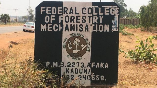 Kaduna Mando kidnapping latest: Federal College of Forestry abduction  victim parent say im 'heart bleed' afta e see im daughter for kidnappers  video' - BBC News Pidgin