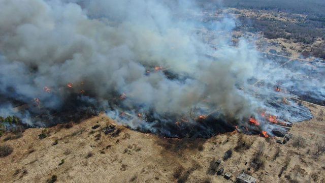 Число жертв лесных пожаров на Гавайях выросло до 93