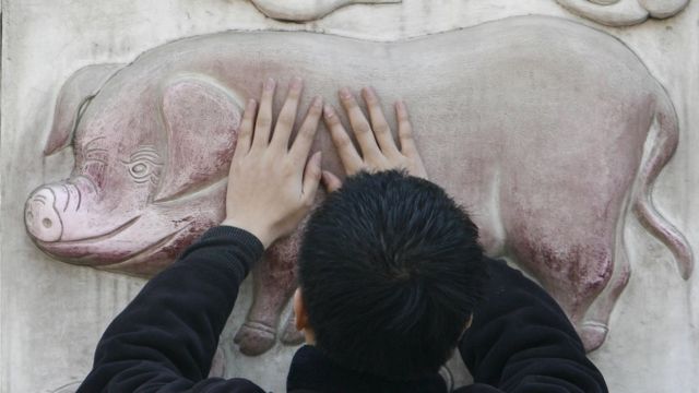 Year of the Pig: Is it really a problem for Muslims? - BBC News