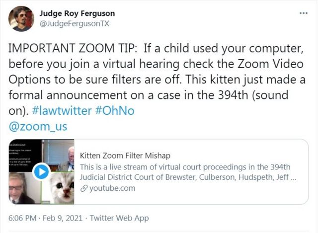 I M Not A Cat Lawyer Uses Zoom Filter By Mistake Cbbc Newsround I M Not A Cat Lawyer Uses Zoom Filter By Mistake Cbbc Newsround
