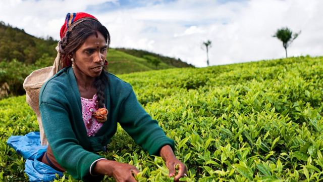 இலங்கை : மஹிந்த ராஜபக்ஷவுடன் சமரசமாக செல்வேனா? - அமைச்சர் ஜீவன் தொண்டமான் பேட்டி