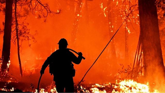 bush fire