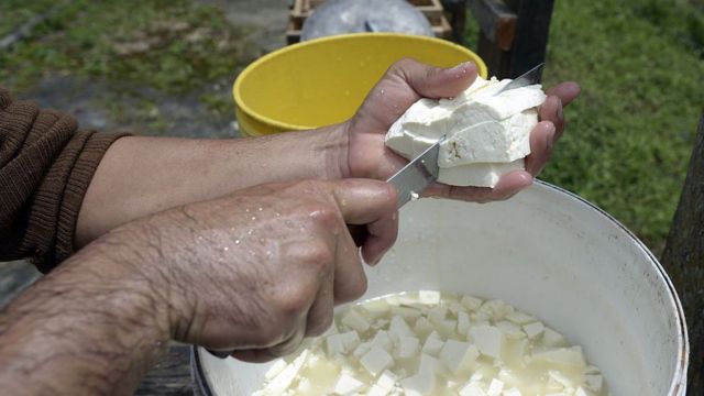 Producción de queso en Venezuela.