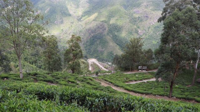 ලෝකාන්තය පාමුල ජීවිත