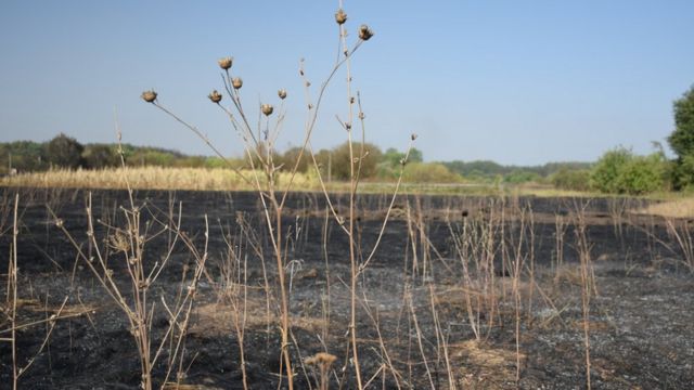 пожежа в Гороб'ївці