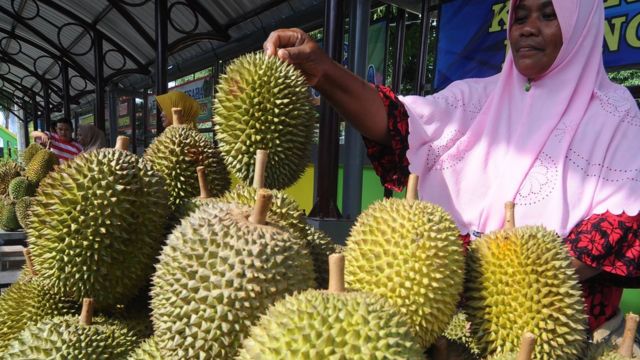 Apakah makan durian  bisa sebabkan kematian BBC News 