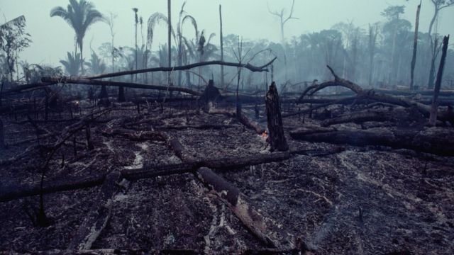 Área de floresta tropical devastada por queimada, entre Ariquemes e Porto Velho, em Rondônia