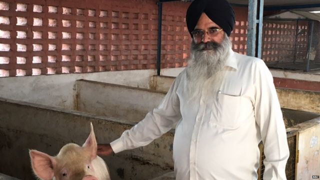 ਦਲਵਿੰਦਰ ਸਿੰਘ ਦਾ ਸੂਰ ਪਾਲਣ ਦੇ ਕਿੱਤੇ ਤੋਂ 28 ਲੱਖ ਰੁਪਏ ਸਾਲਾਨਾ ਕਮਾਈ ਦਾ ਦਾਅਵਾ
