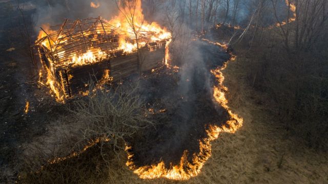 Пожежі на Житомирщині. Фото