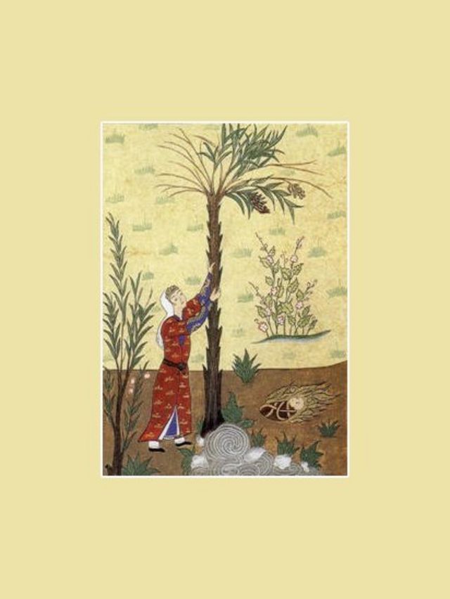 কোরানের বর্ণনা অবলম্বনে একজন মুসলিম শিল্পীর আঁকা কুমারী মেরির ছবি