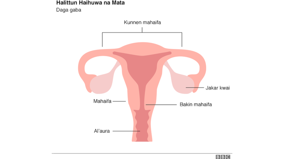 Menopause Amsar Tambayoyinku Kan Ko Shekarun Manyantakar Mace Na Illa Ga Rayuwar Aurenta c News Hausa