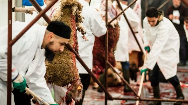 An archive photo of an Islamic slaughterhouse in Belgium