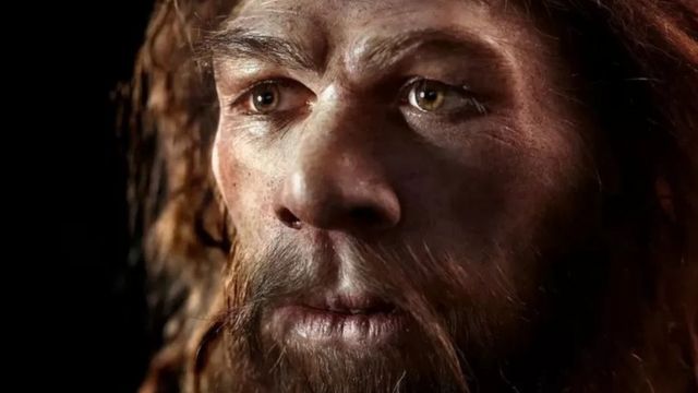 நியாண்டர்தால்