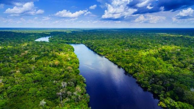 Vista aérea del Río Amazonas