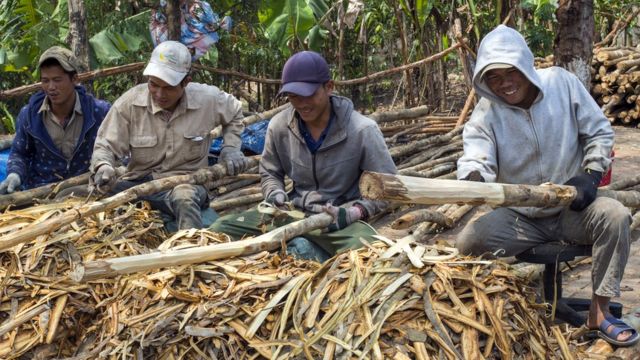 Nhiều người bỏ ra số tiền lớn để đi lao động ở nước ngoài với mộng đổi đời. Nhưng thực tế khắc nghiệt ở xứ người khiến họ vỡ mộng (Ảnh minh họa)