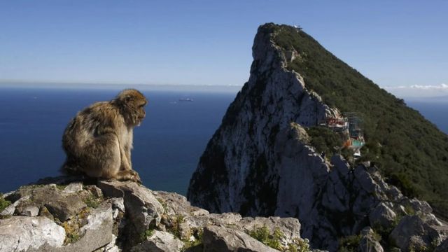 Finlayson dit que les falaises abruptes de Gibraltar ont aidé à préserver les restes de l'homme de Neandertal