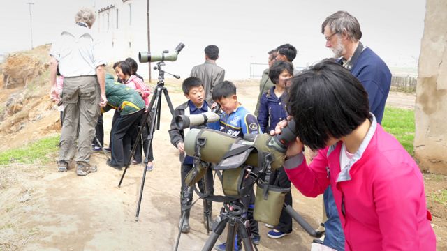 Niños norcoreanos observan las aves a través de telescopios.