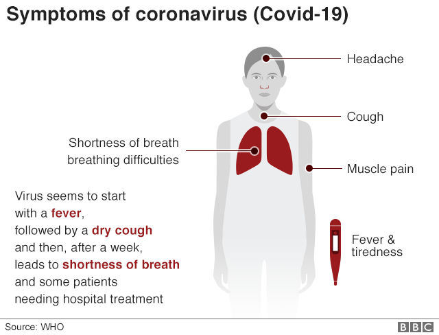 Graphic showing the symptoms of coronavirus: Shortness of breath, headache, cough, muscle pain. Virus seems to start with a fever, followed by a dry cough and then after a week leads to shortness of breath and some patients needing hospital treatment