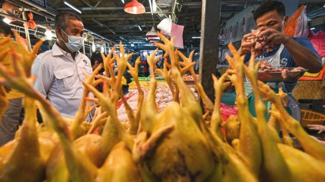 吉隆坡秋杰巴刹（菜市场）内一个家禽摊上已宰好的肉鸡（资料图片）
