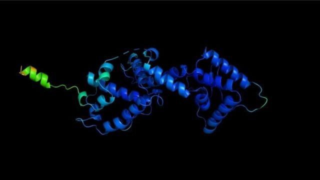 Modelo informático de proteína