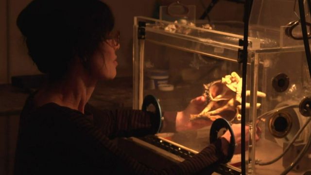 Gillian Genser com as mãos dentro de um invólucro transparente, manipulando uma concha