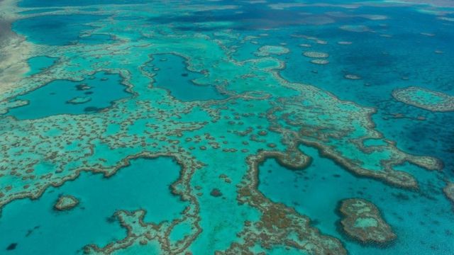 グレートバリアリーフはオーストラリアの観光名所でもあり、サンゴの白化は大きな懸念だ