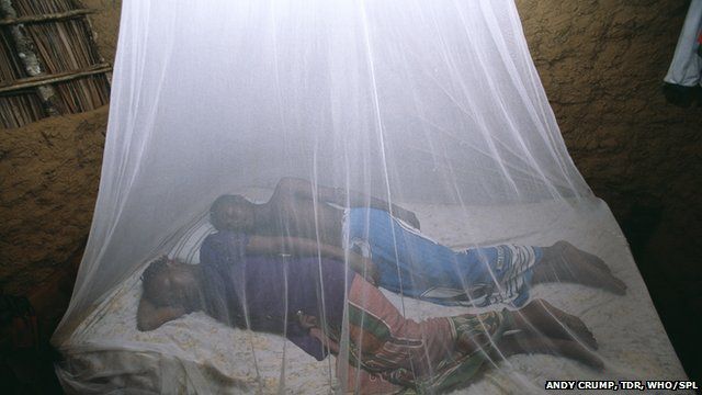 Bed nets can help prevent malaria (picture taken in Kenya)