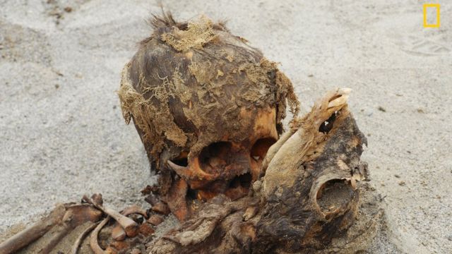 O esqueleto de uma criança junto com o esqueleto de uma lhama na areia