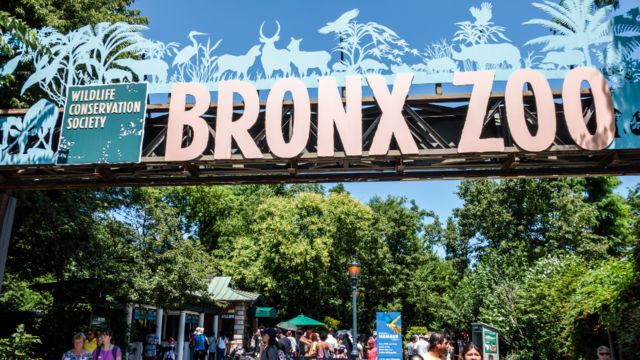 L'entrée du zoo du Bronx photographiée en 2016