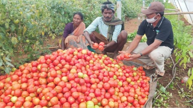 பிரேமே கர்நாடகா விவசாயி