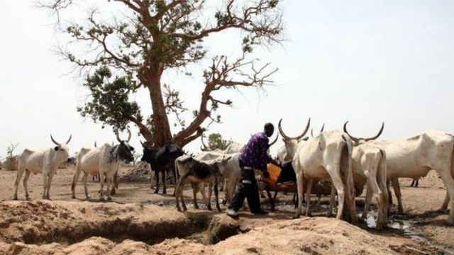 Fulani darandaran