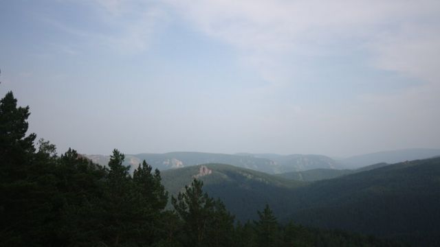 Floresta em Krasnoyask, na Sibéria, na Rússia