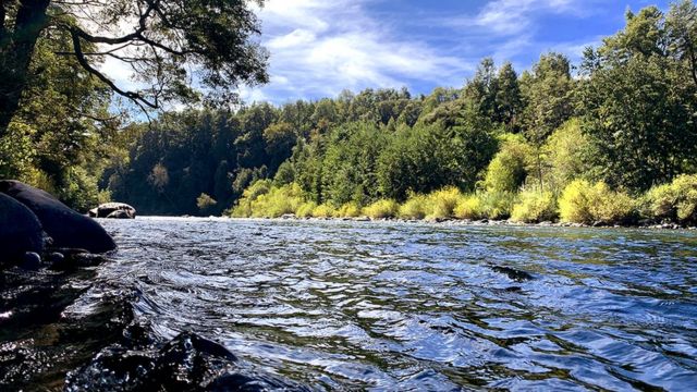 Cautin River In Temuco Stock Photo - Download Image Now - Chile