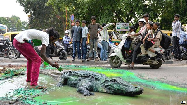 Indian artist creates crocodile pothole to get road fixed
