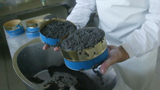 Иранская черная икра снова под запретом в США