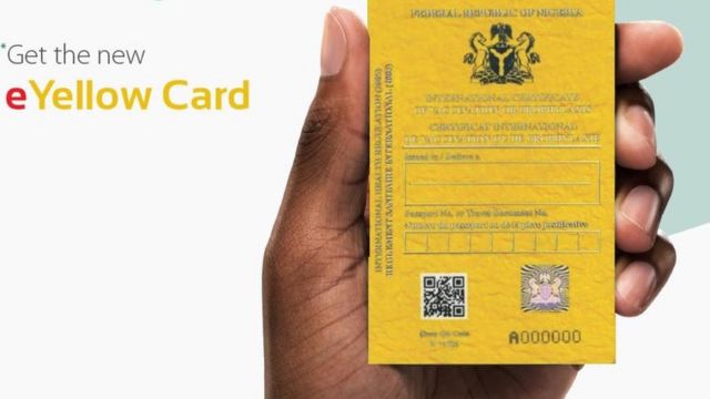 What Does A Yellow Fever Vaccination Certificate Look Like