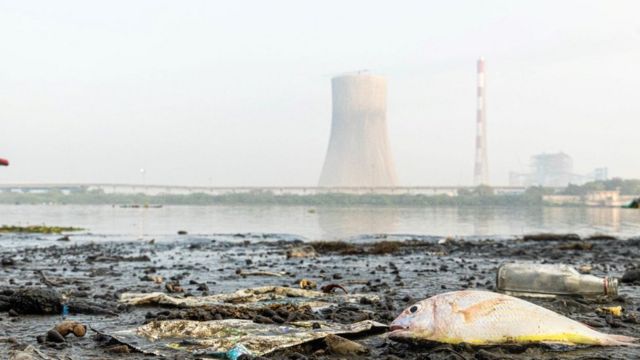 கொற்றலை ஆறு