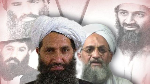 زعيم طالبان هبة الله اخوند زاده وخلفه صور بن لادن والظواهري والملا عمر