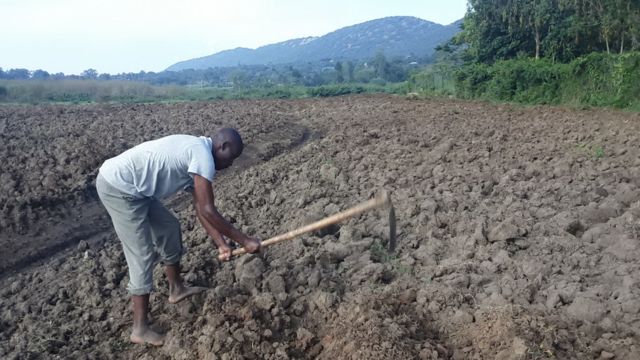 Geoffrey Barasa sasa anafanya shughuli za kilimo magharibi mwa Kenya baada ya kupoteza kazi mara mbili