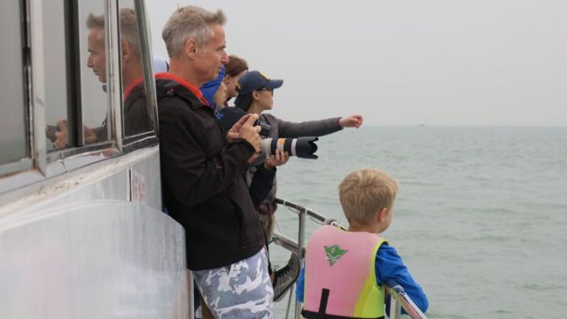 Tourists on a pink dolphin tour