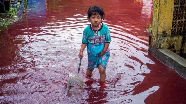 Banjir Pekalongan