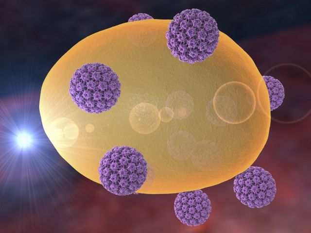 மனித பாப்பிலோமா வைரஸ்