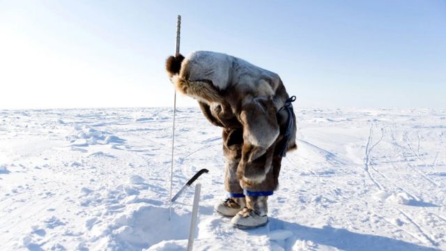 Humans didn’t re-evolve fur even when they moved to cold regions, suggesting a lack of fur conferred some advantage — or became canalised