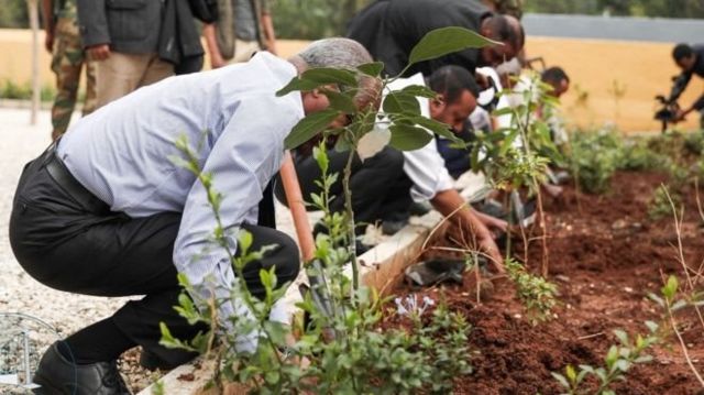 Etiyopya Bir Gunde 353 Milyon Fidan Dikilerek Dunya Rekoru Kirildi Bbc News Turkce
