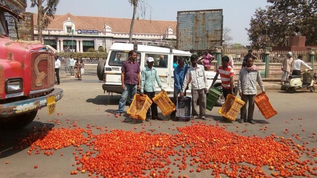 केउनझार में सोमवार को कई किसानों ने कलेक्टर कार्यालय के सामने सड़क पर टमाटर फेंक कर प्रदर्शन किया.