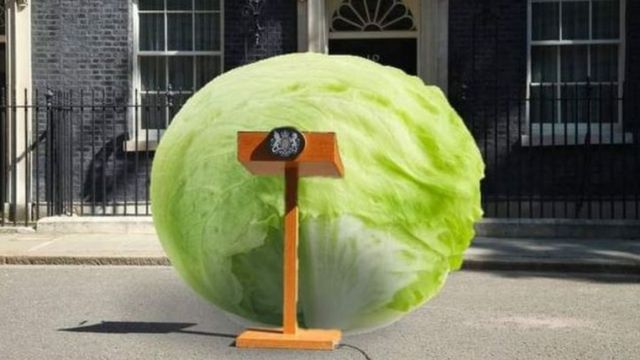 Lettuce in front of the government headquarters