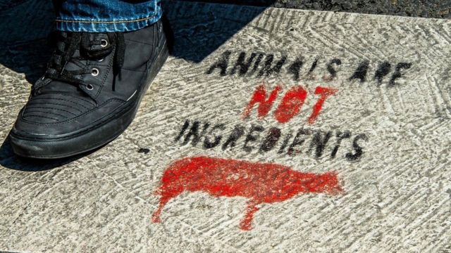 Anti-meat graffiti in France